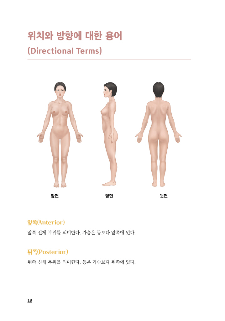 19페이지