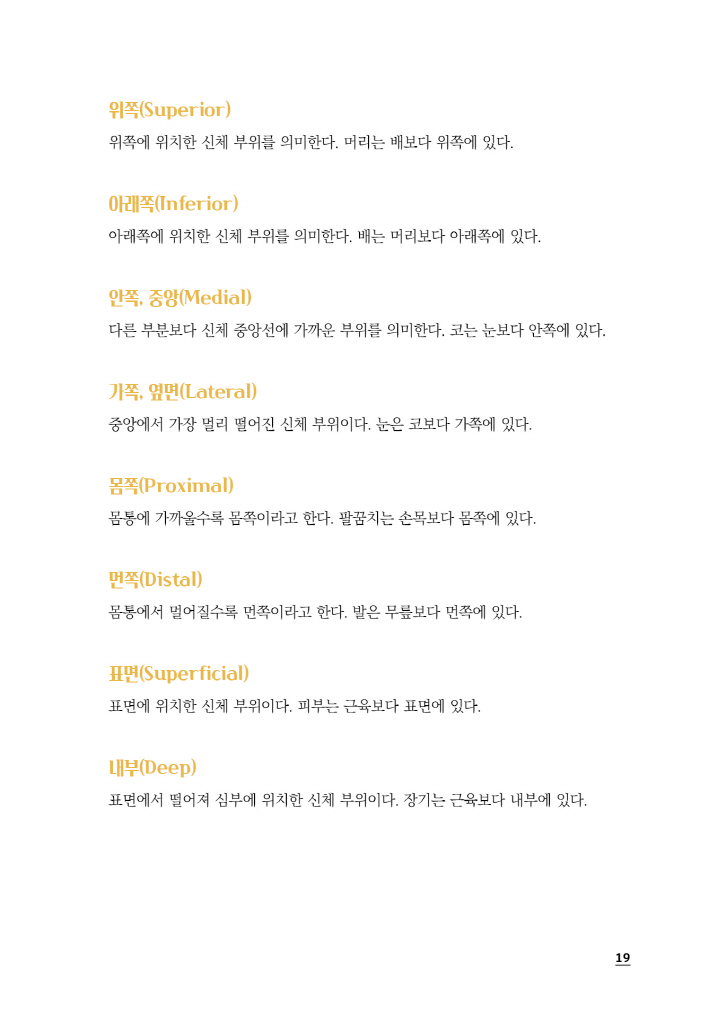 20페이지