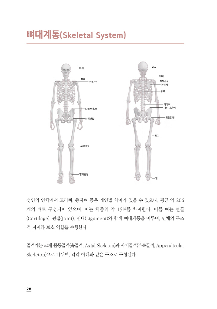 29페이지
