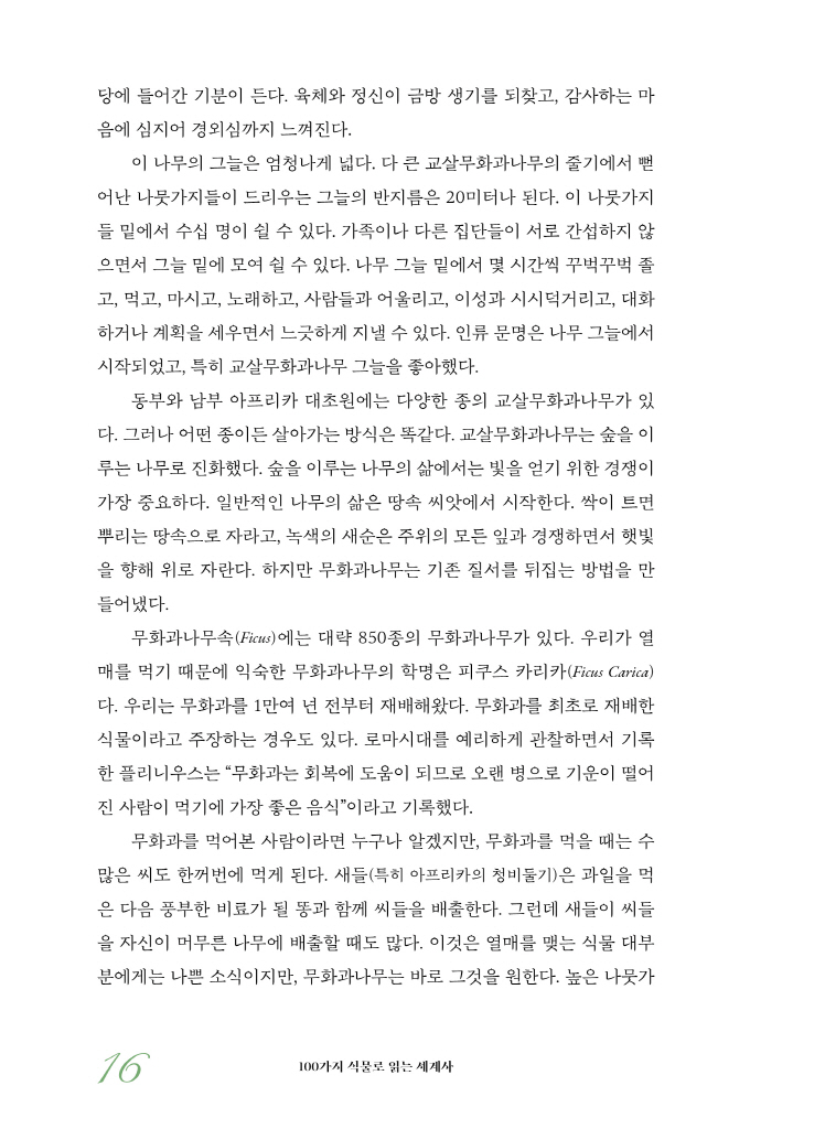 17페이지