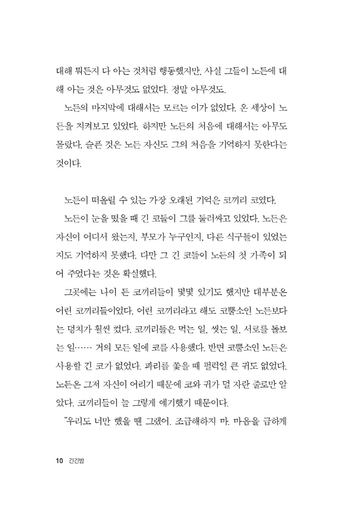 11페이지