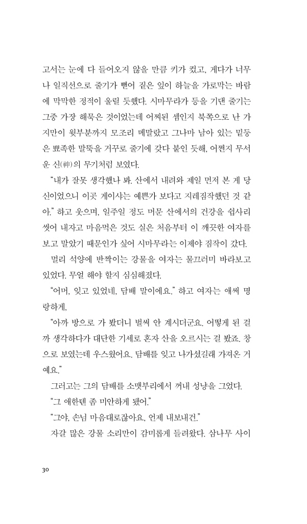 31페이지