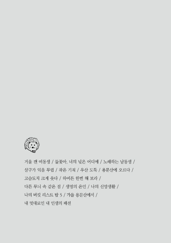 13페이지