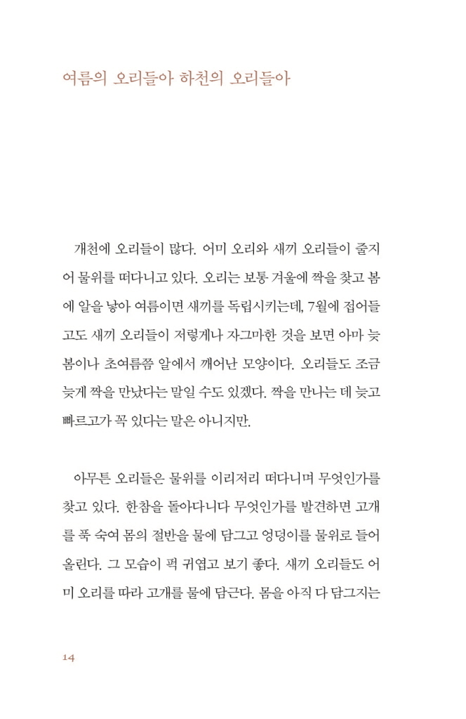15페이지