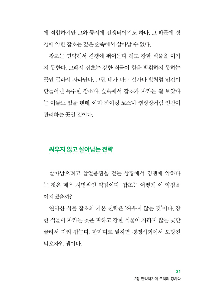 32페이지