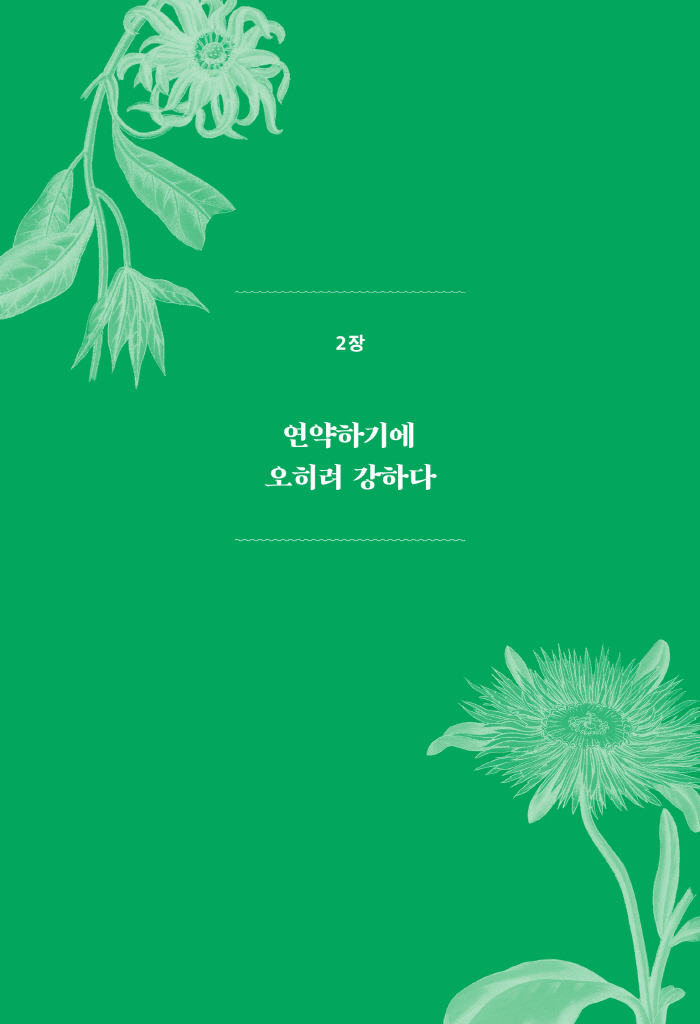 28페이지