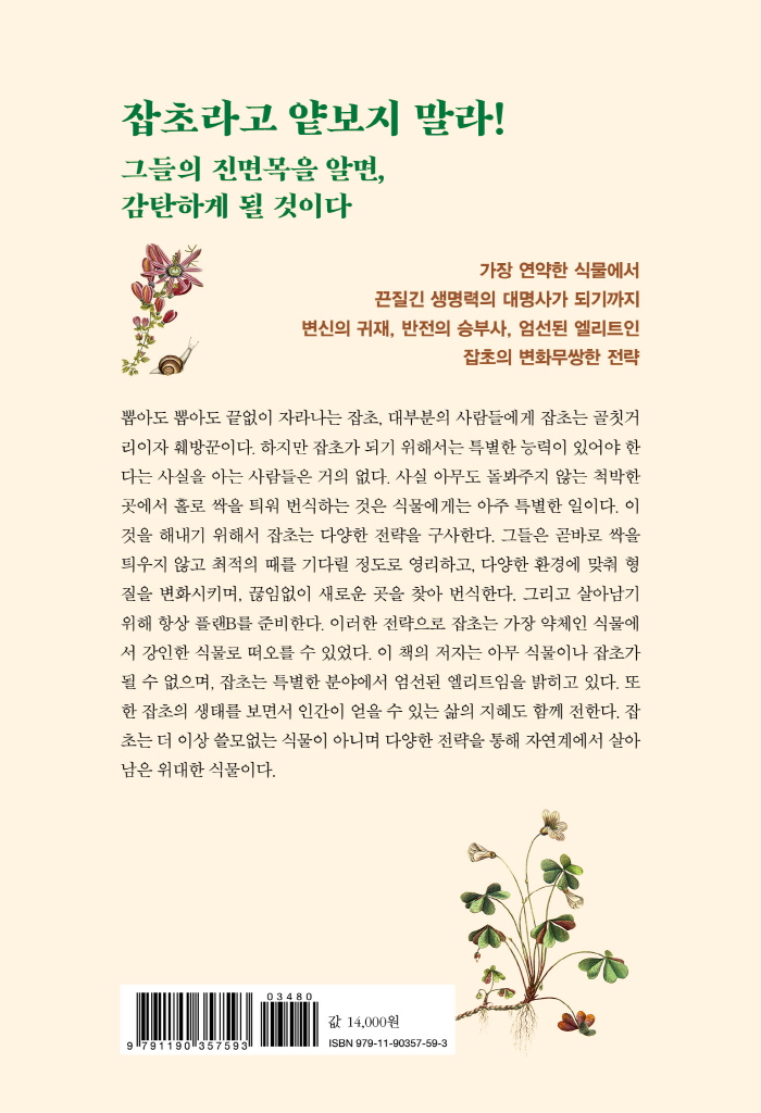 35페이지