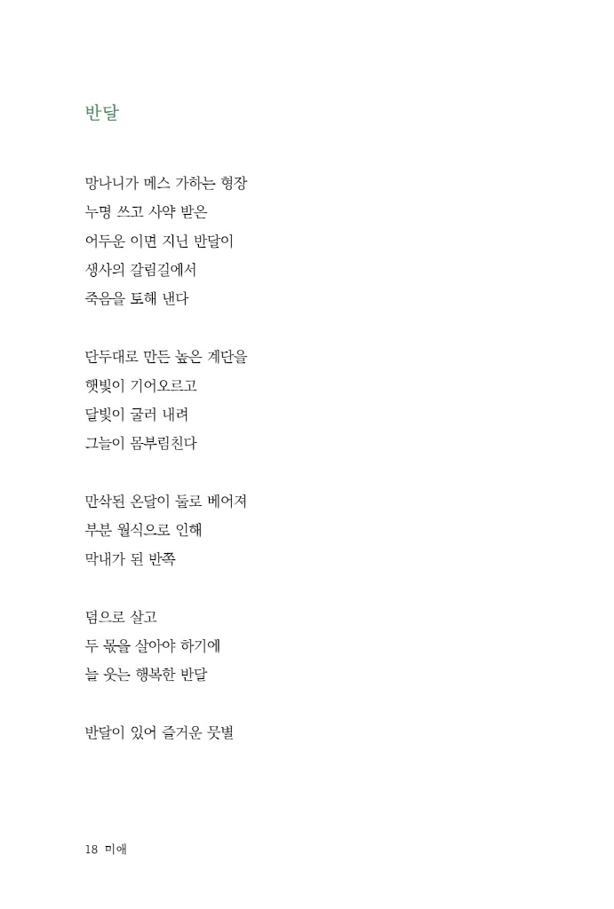 19페이지