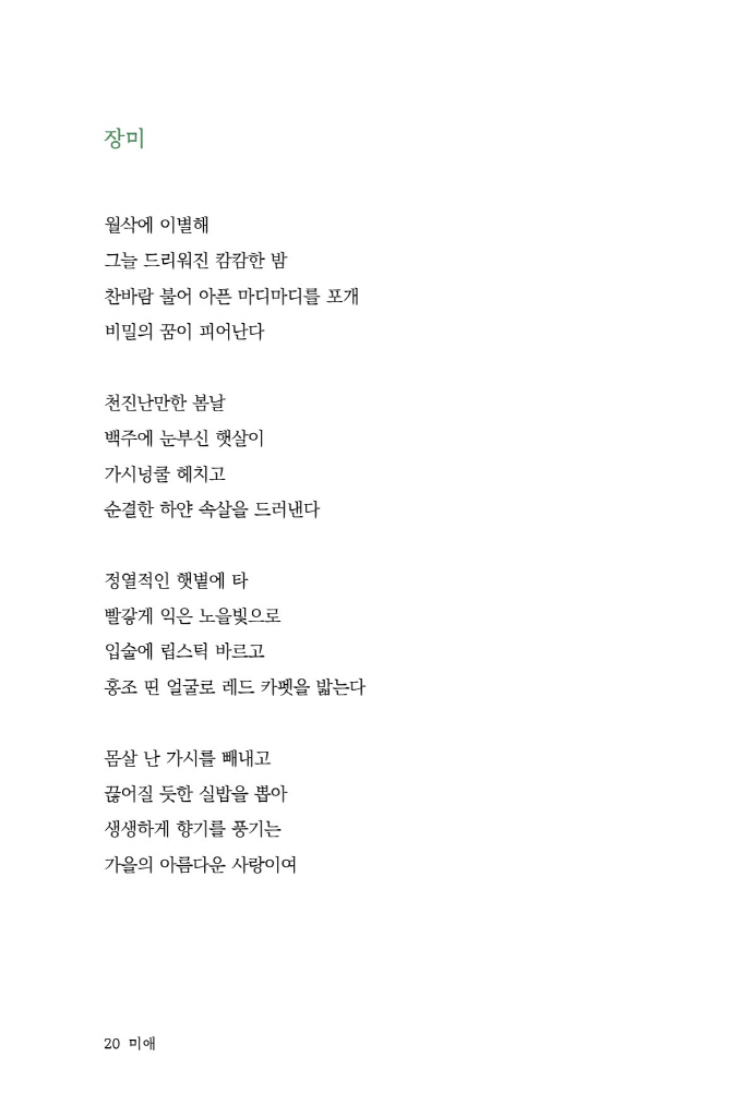 21페이지