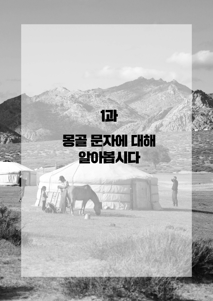 20페이지