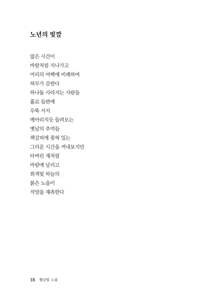 19페이지