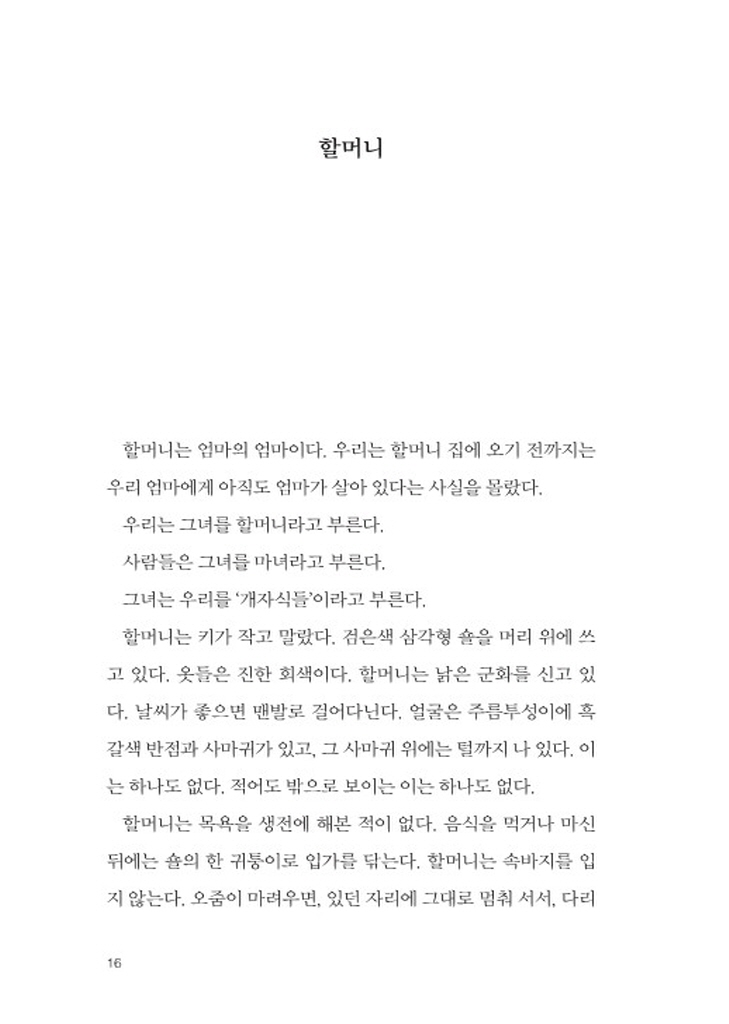 13페이지