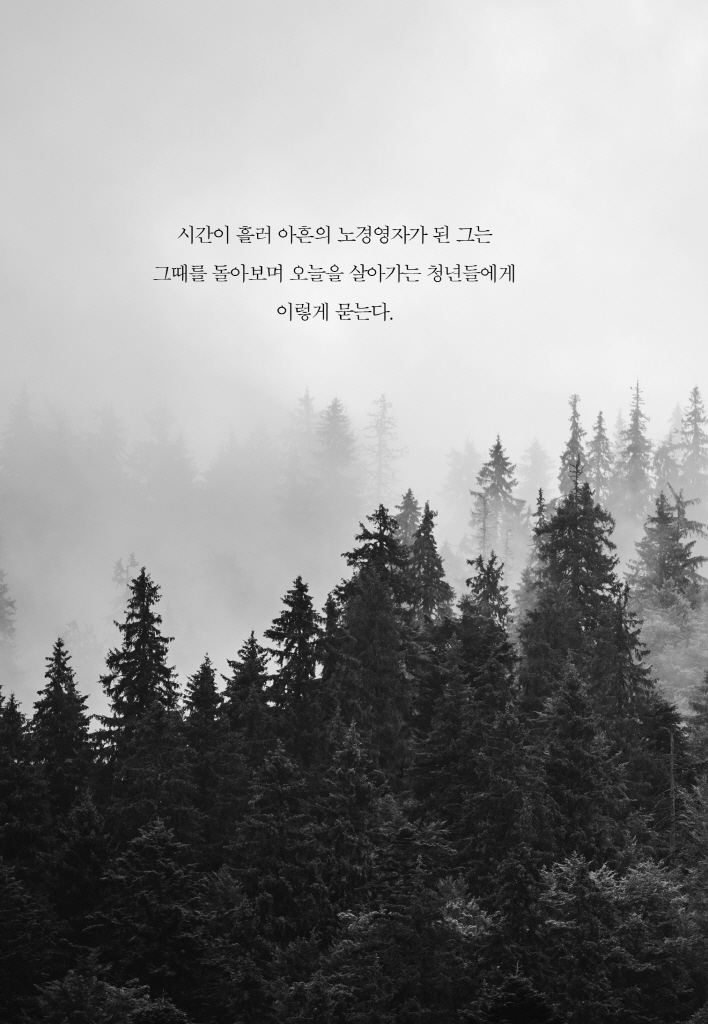 17페이지