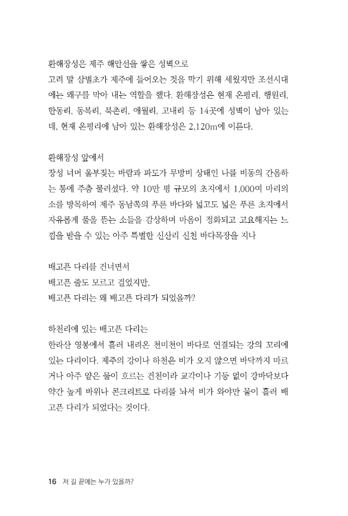 17페이지