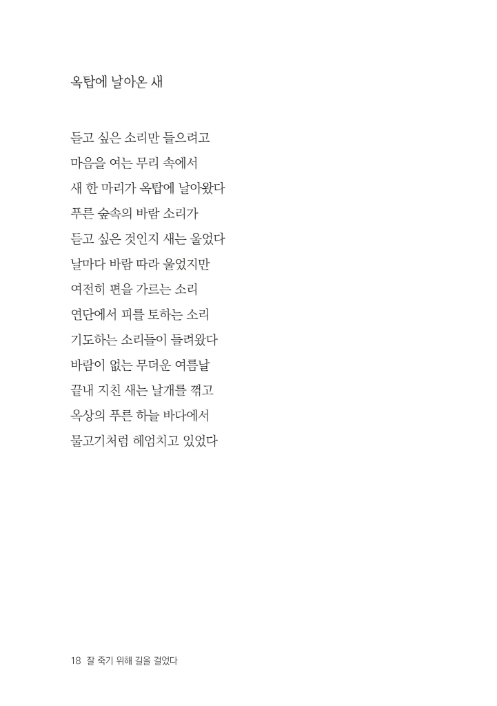 19페이지