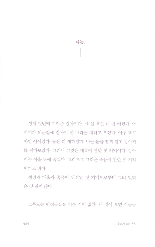 17페이지
