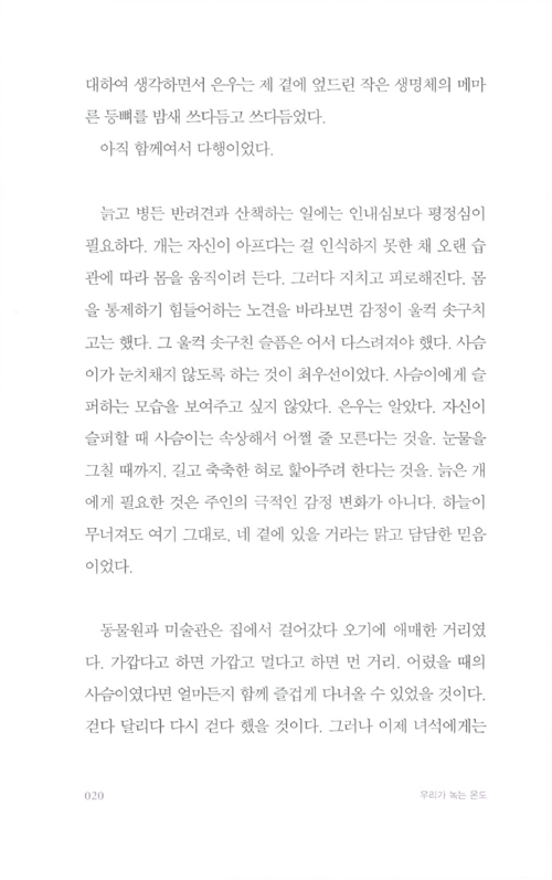 13페이지