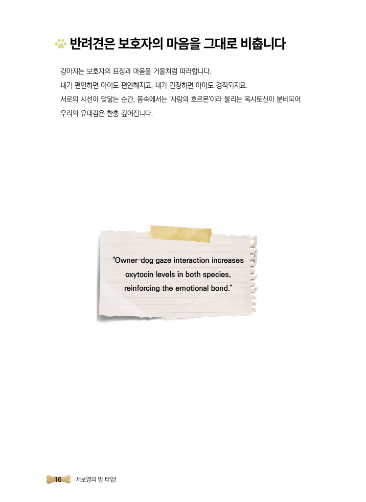 17페이지
