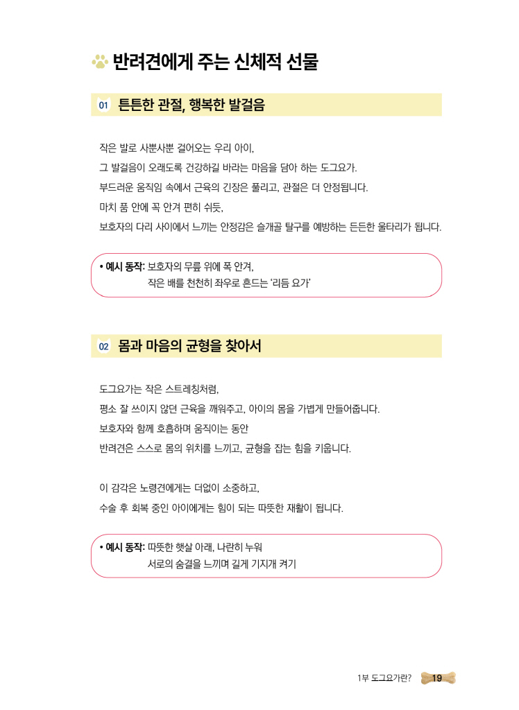 20페이지