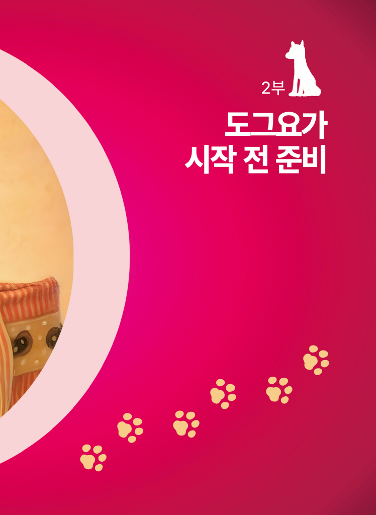 26페이지