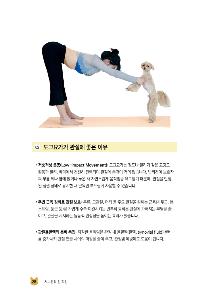 29페이지