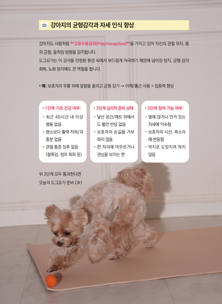30페이지