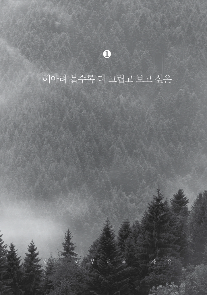 14페이지