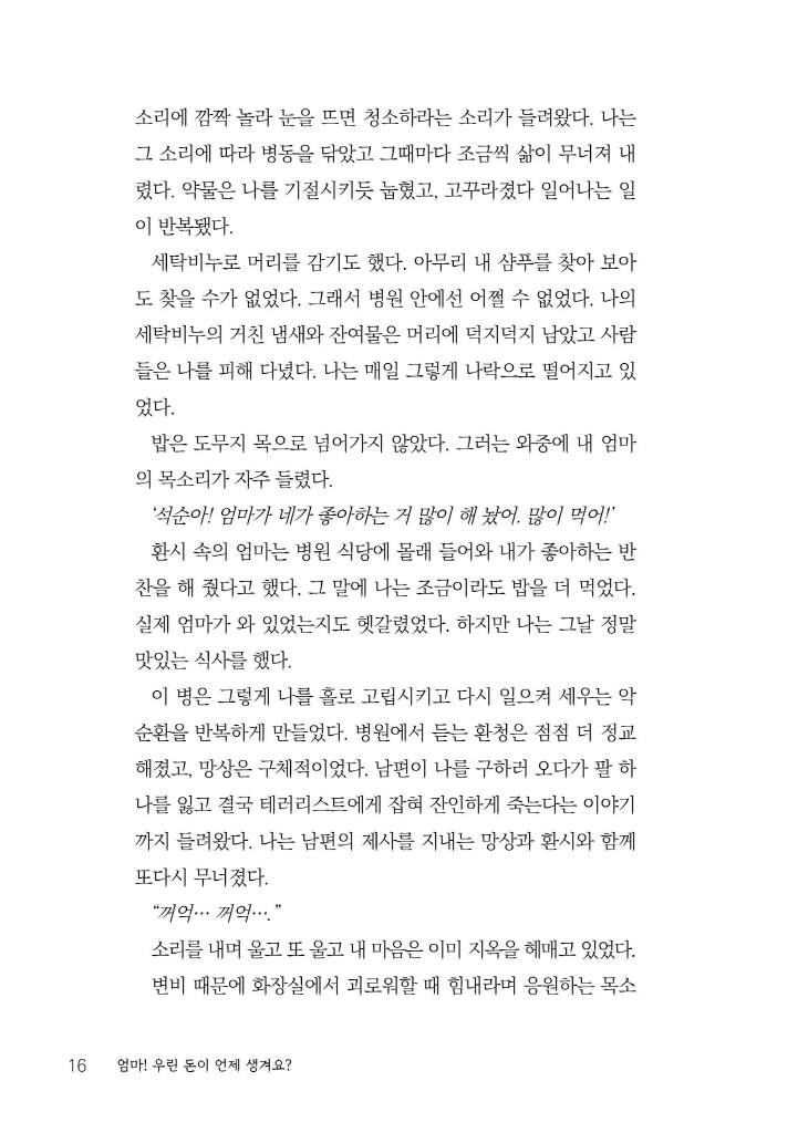 17페이지