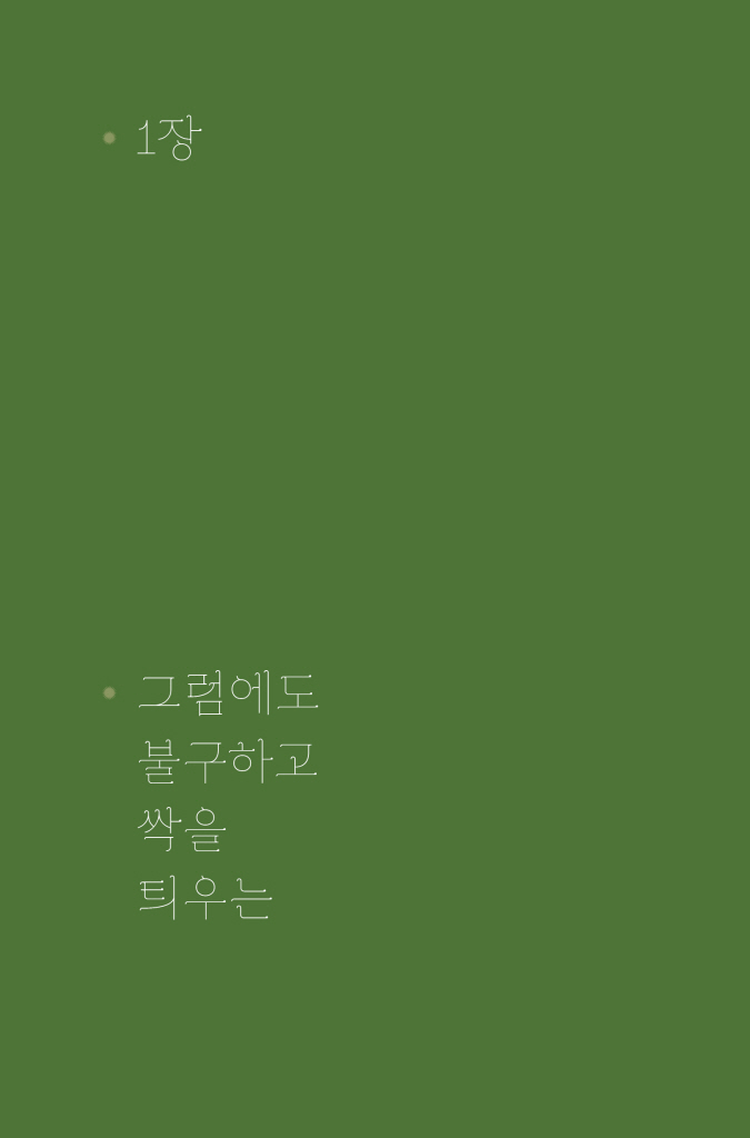 19페이지
