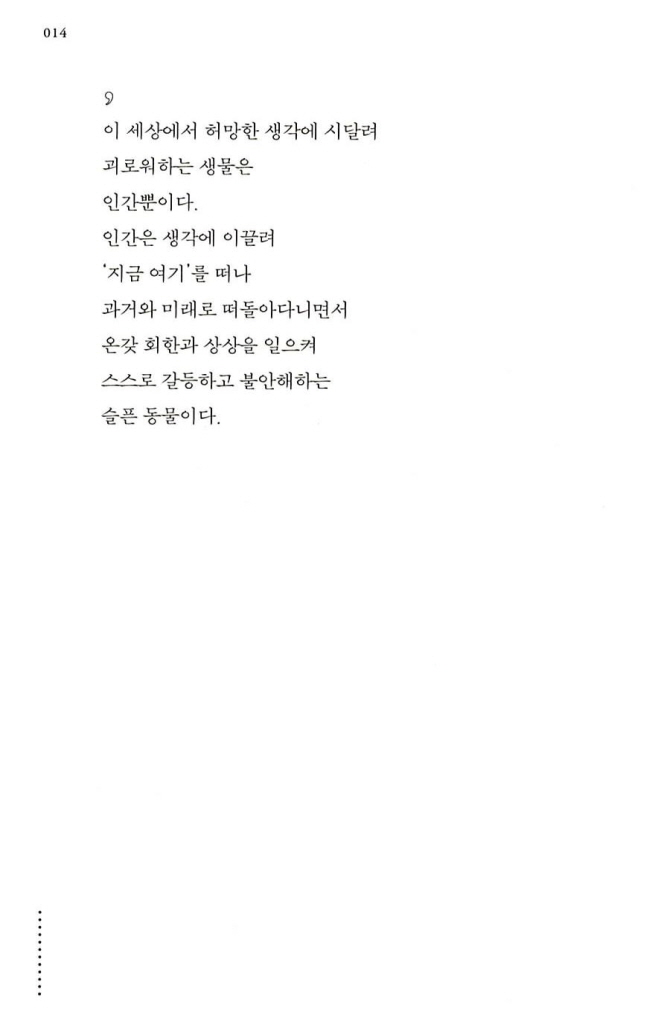 13페이지