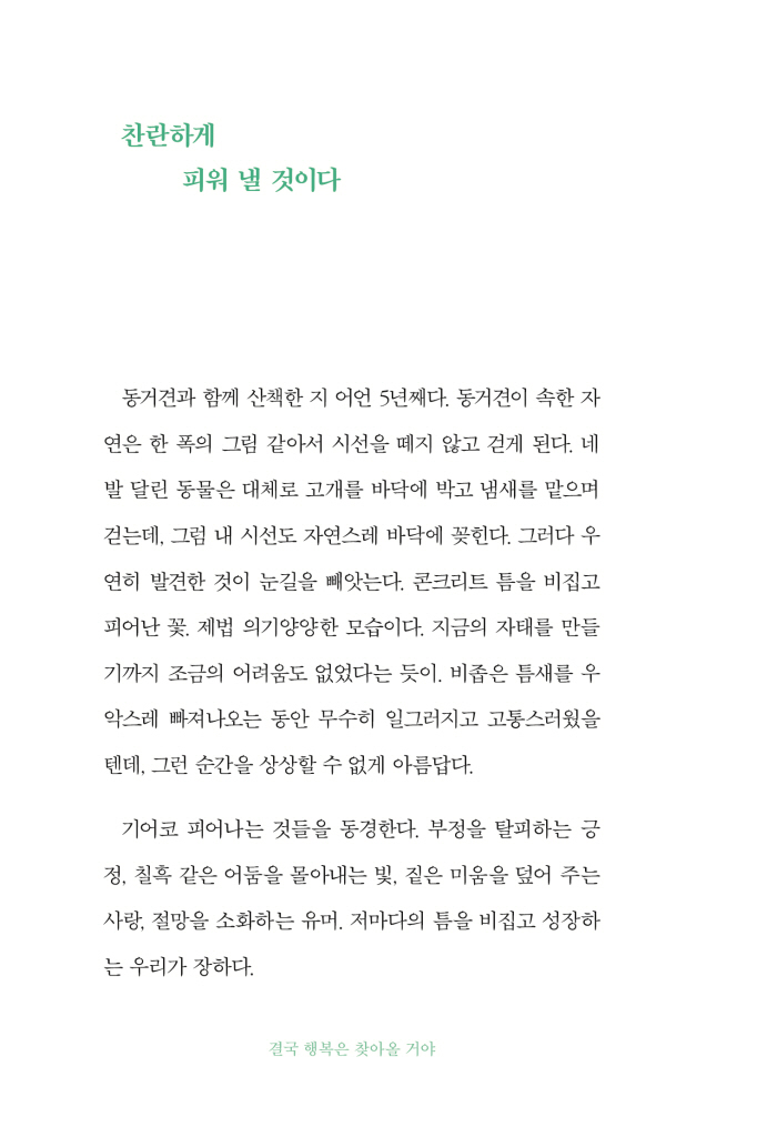 25페이지