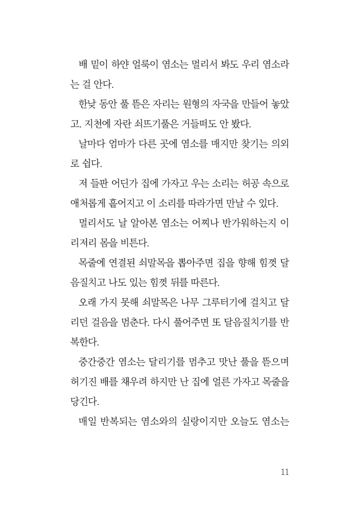 12페이지