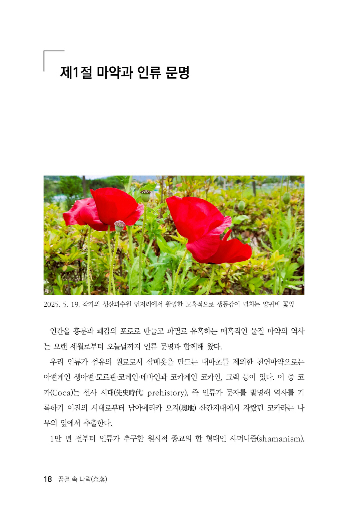 19페이지