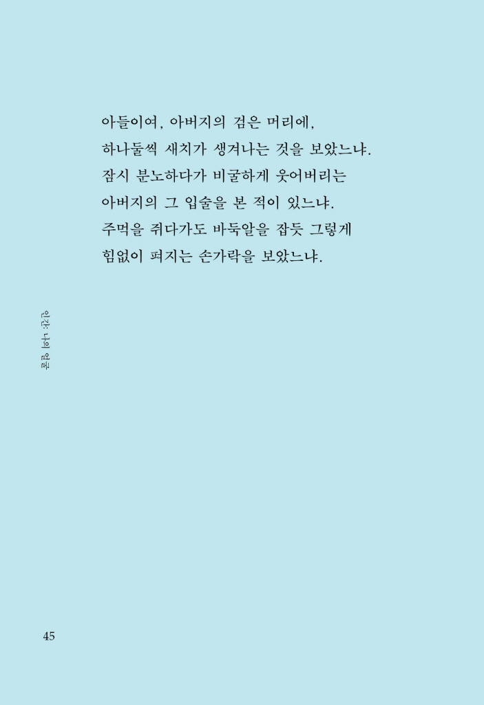 20페이지