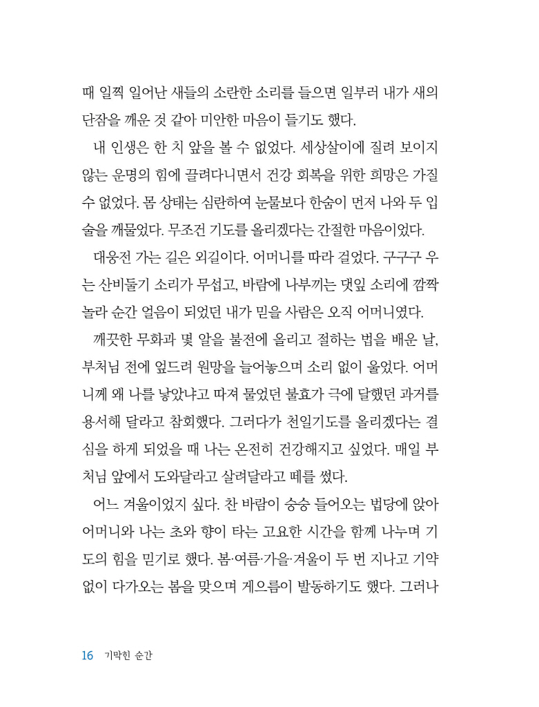 17페이지