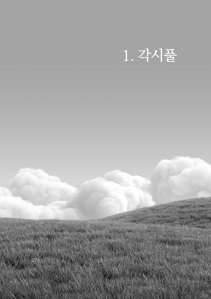 12페이지