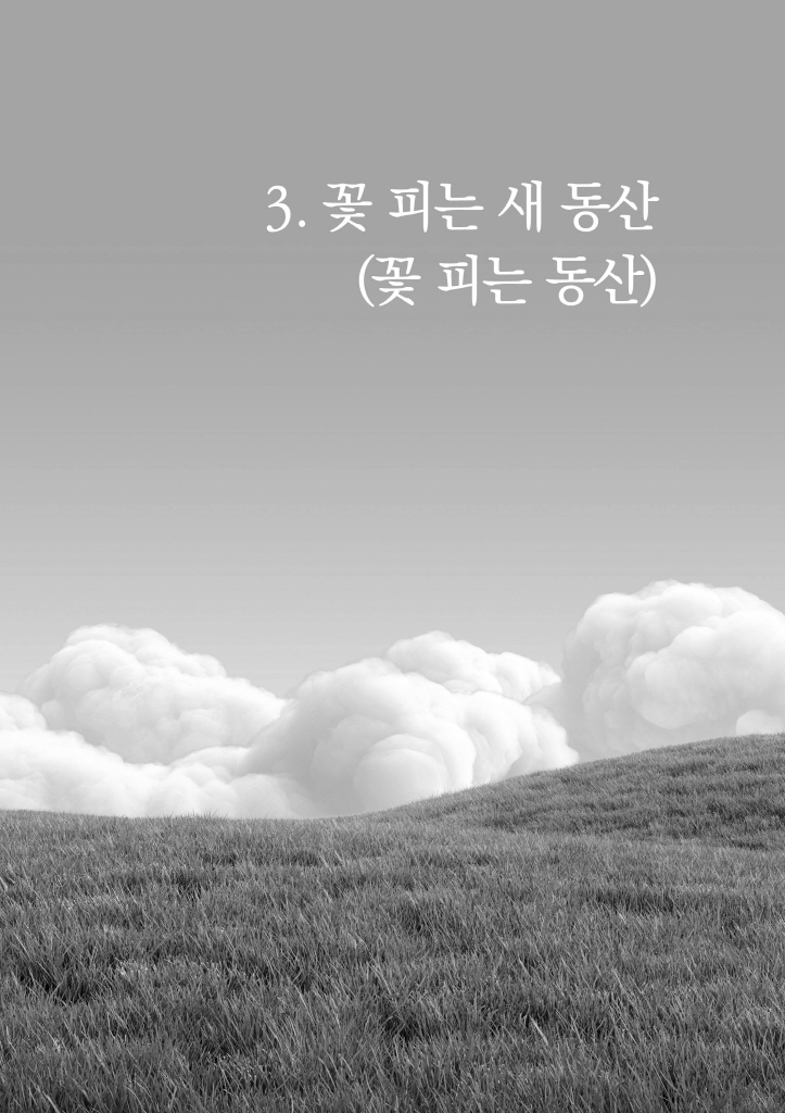 20페이지