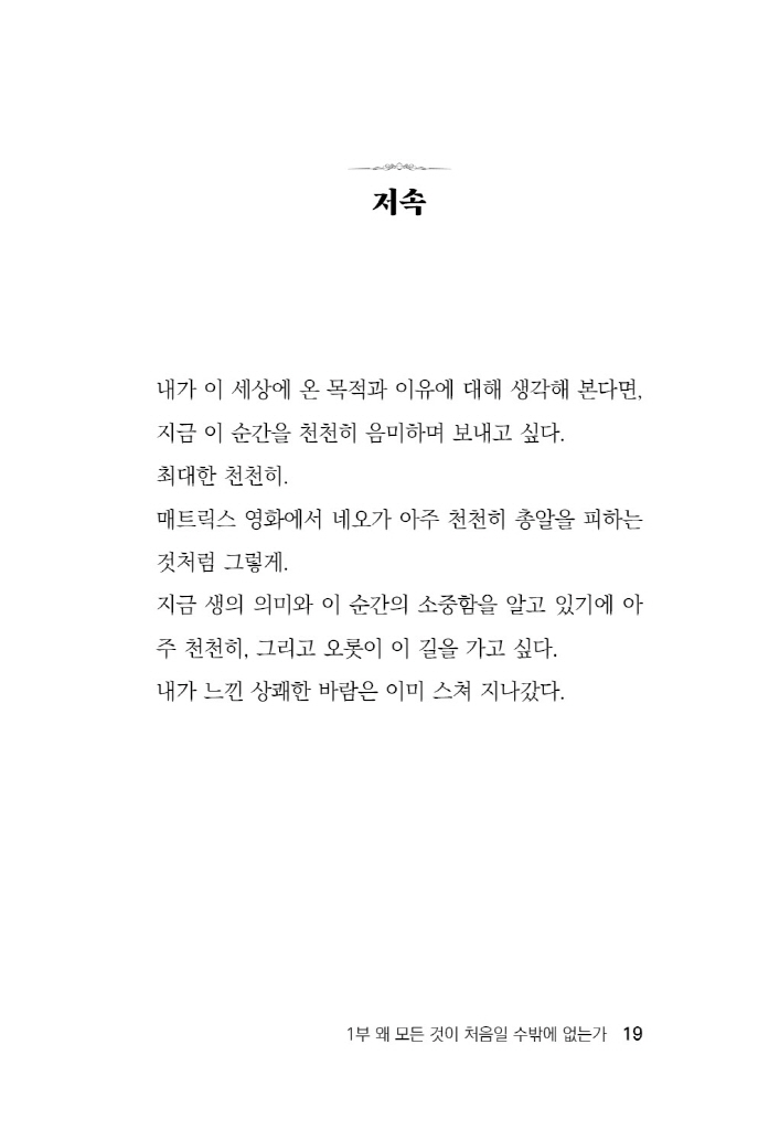 20페이지