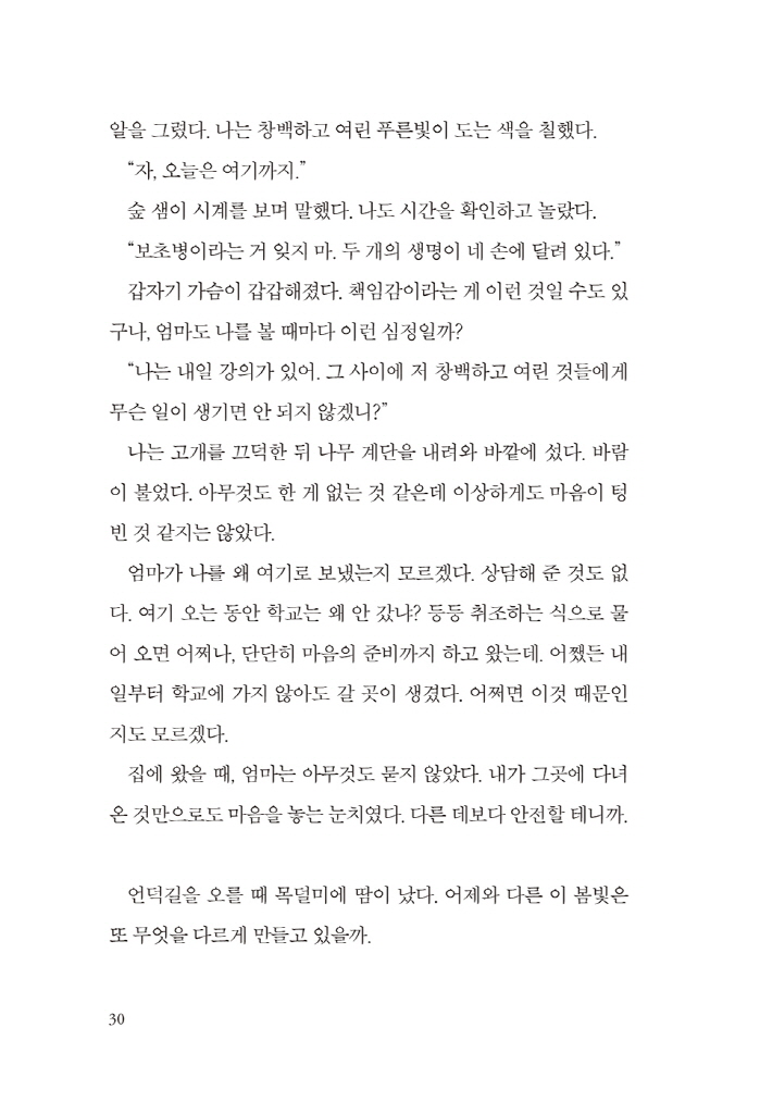 31페이지