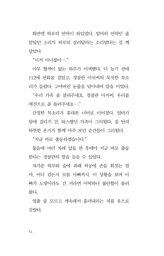 17페이지