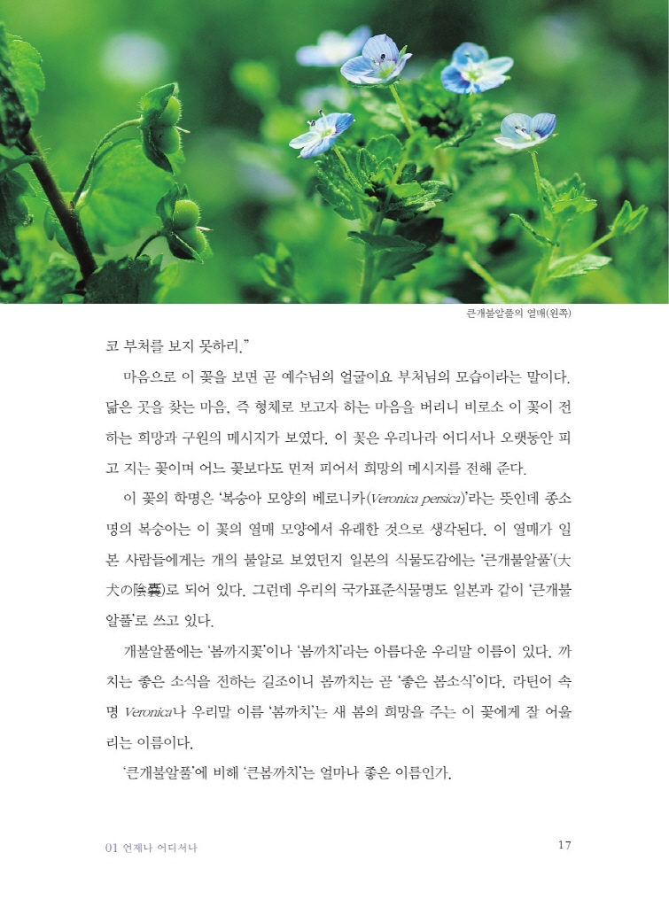 18페이지