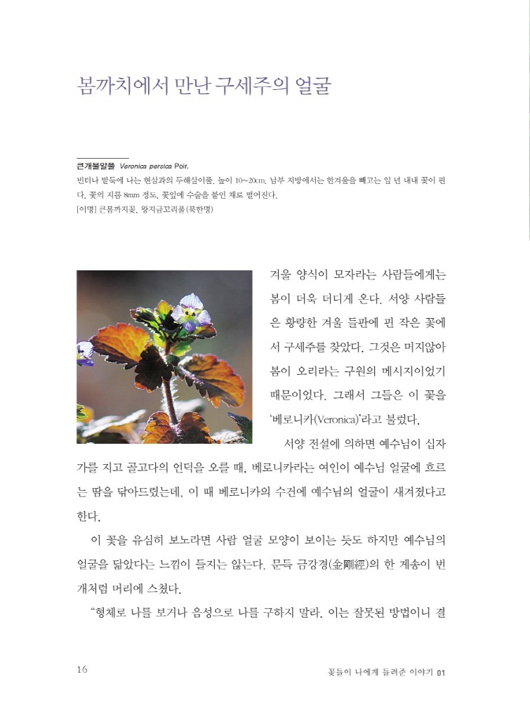 17페이지