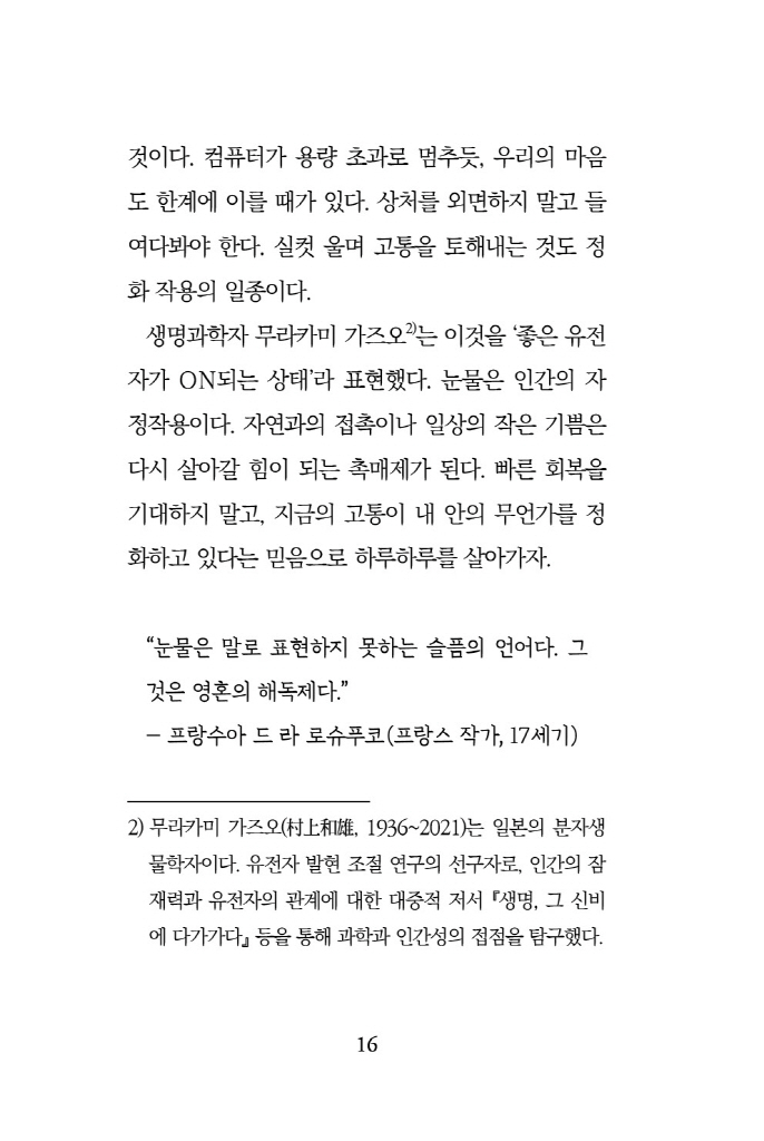 17페이지