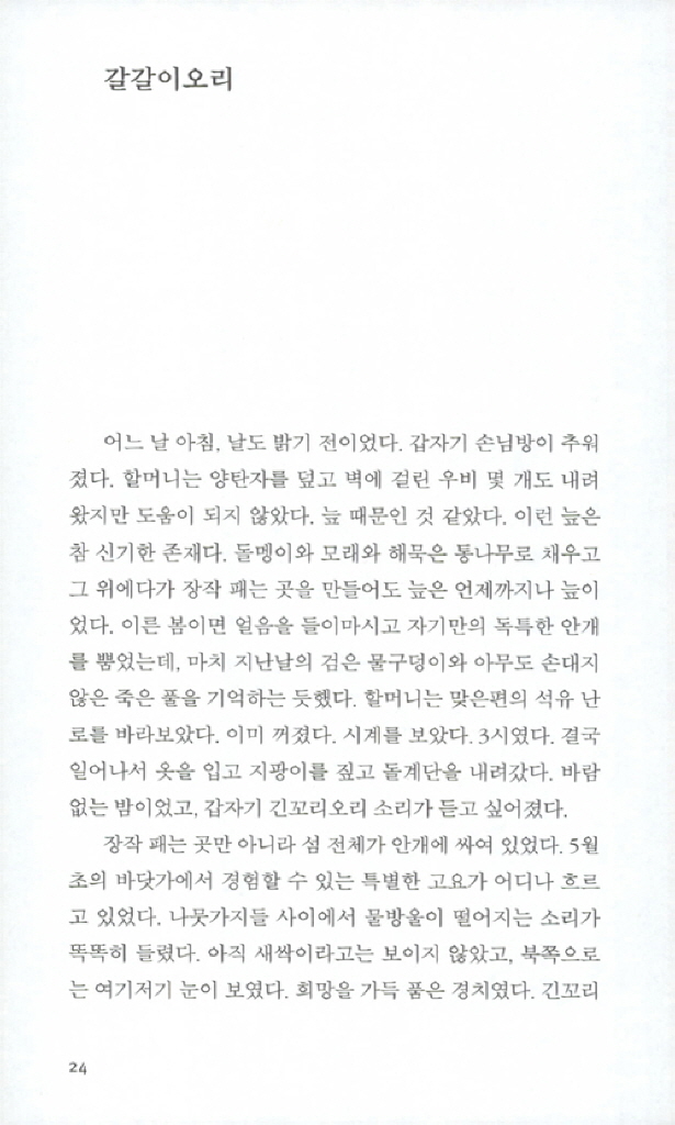 23페이지
