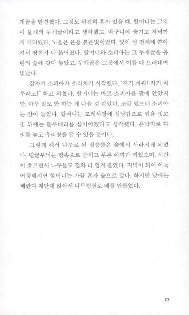 22페이지