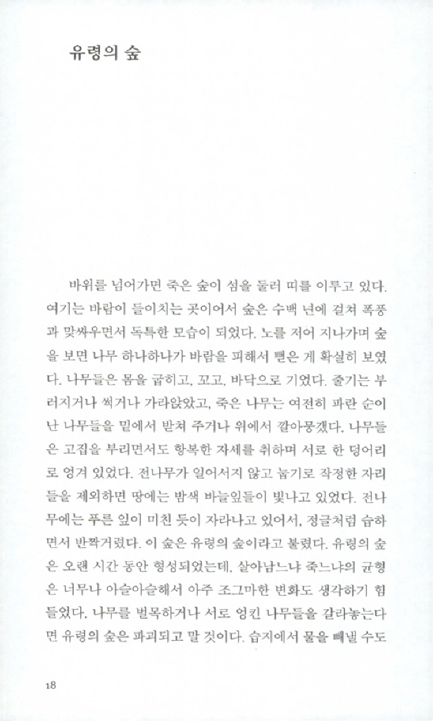 17페이지