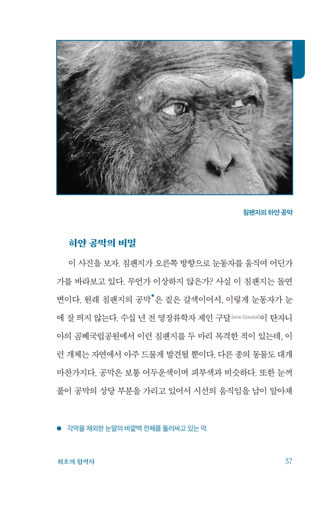19페이지