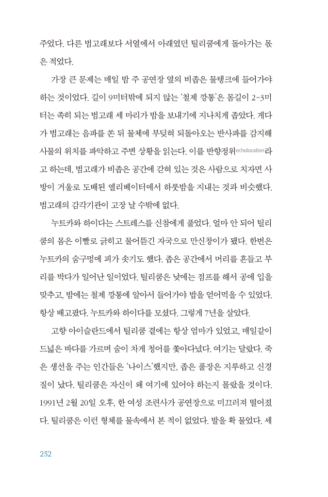 31페이지