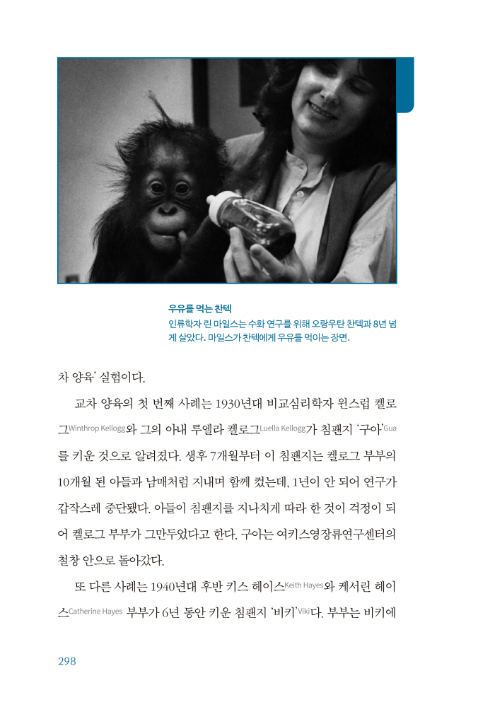 35페이지