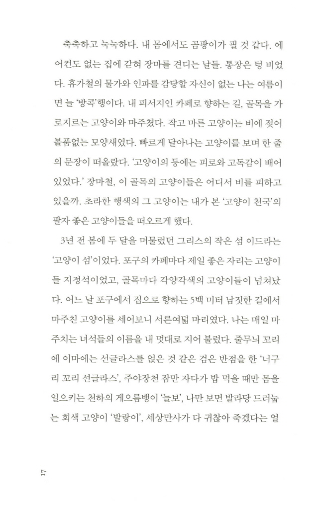 16페이지